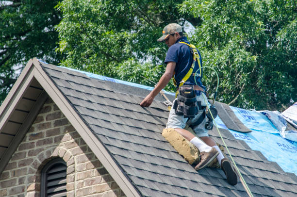 Best Storm Damage Roof Repair  in Loudon, TN